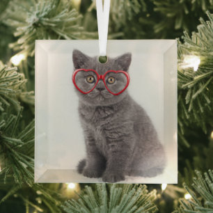 Ornement En Verre Animaux de bébés cutest   Lunettes cardiaques de c