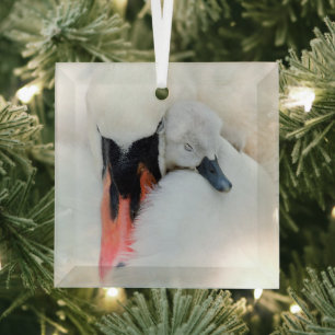 Ornement En Verre Animaux de bébés cutest Mère et bébé Mute Swan