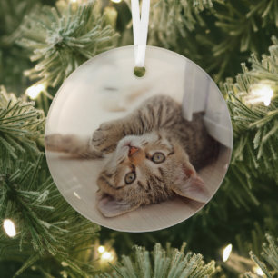 Ornement En Verre Animaux de bébés cutest Shorthair Tabby Kitten