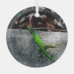 Ornement En Verre Anole Lizard 6704