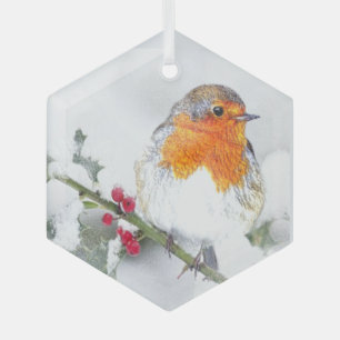 Ornement En Verre Aquarelle Robin Anglais Oiseau Faune Nature Art