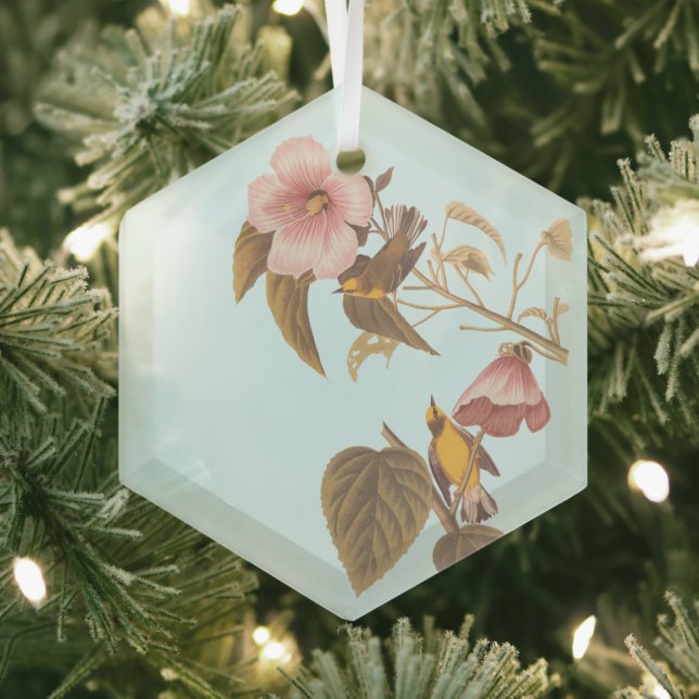 Ornement En Verre Audubon Bleu aile Jaune Paruline Oiseau (Insitu)