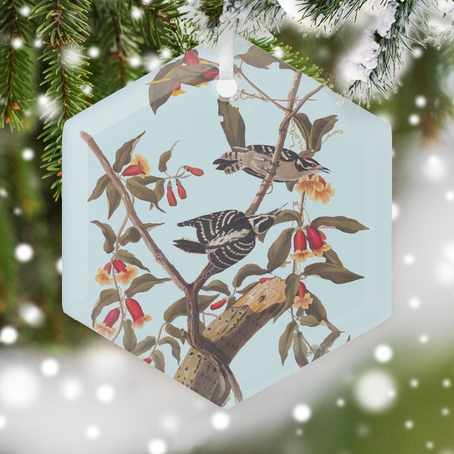 Ornement En Verre Audubon Downy Pic Couple aux fleurs (Audubon Downy Woodpecker Glass Ornament on snow covered Christmas tree)