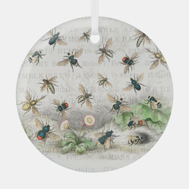 Ornement En Verre Bee Honey Travailleur Queen Bees Antique (Recto)