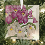 Ornement En Verre Belles Orchidées Vintages violettes et blanches<br><div class="desc">Ce magnifique coussin présente une illustration botanique rétro ou des orchidées violettes et blanches avec un beau feuillage vert sur le devant. Ce design charmant donne vie à une image artistique d'une publication horticole antique.</div>