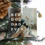 Ornement En Verre BEST CHIEN AUJOURD'HUI DAN JAMAIS Photo personnali<br><div class="desc">Le Meilleur Père Chien Moderne Jamais Photo Personnalisée Ornement De Noël. Un cadeau parfait pour les amoureux de les chiens pendant la saison festive.</div>