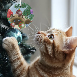 Ornement En Verre Boule de Noël Chat siamois Drôle