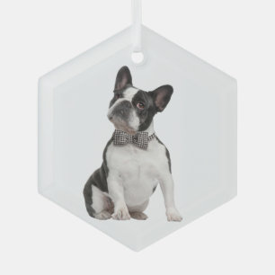 Ornement En Verre Boxer chien animal animal animal animal de compagn