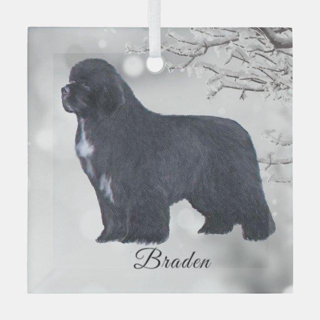 Ornement En Verre Braden Newf for Carol (Recto)