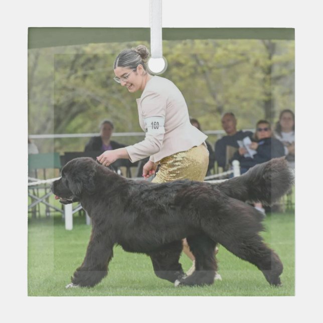 Ornement En Verre Carol B Newf Puppy Christmas Glass Ornament (Recto)