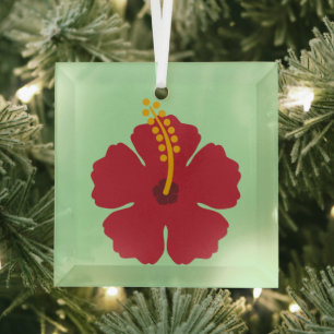 Ornement En Verre Cartoon rouge Hibiscus simple