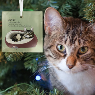Ornement En Verre Chat Tabby Laziness Sarcasme Vert Sauge Sage