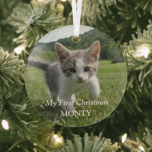 Ornement En Verre Chaton photo personnalisé Chat Noël