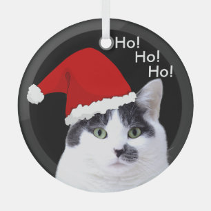 Ornement En Verre Chats à Santa Hats Noël