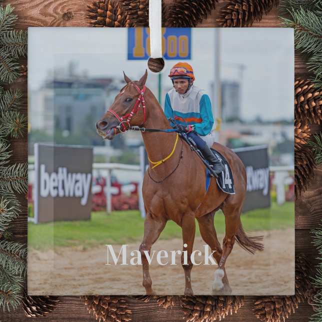 Ornement En Verre Cheval Lover Personnalisé Animaux de compagnie Pho (Créateur téléchargé)