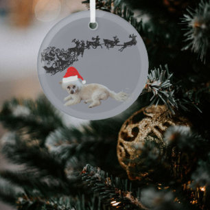 Ornement En Verre Chien blanc avec chapeau de Père Noël   Sleigh et
