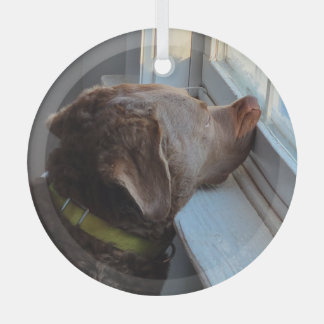 Ornement En Verre Chien dans la fenêtre