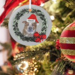 Ornement En Verre Chien de gingembre à Santa Hat dans la couronne de<br><div class="desc">Un ornement de Noël personnalisé est une excellente façon de célébrer votre animal de compagnie à Noël. Un dessin d'un chapeau de Père Noël rouge et blanc est placé sur la photo d'un chien du Queensland Heeler gingembre. Une couronne à feuillage persistant dessinée avec un arc rouge encercle l'ornement. La...</div>