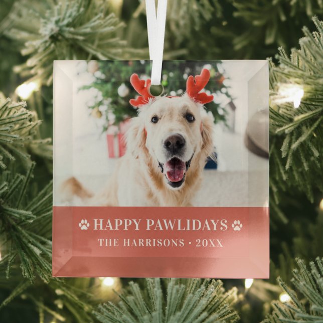 Ornement En Verre Chien Noël Photo moderne Joyeux Pawlidays (Insitu)