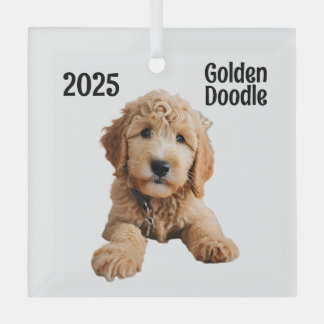 Ornement En Verre Chiot de Doodle Doré