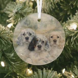 Ornement En Verre Chiots Setter Anglais