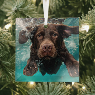 Ornement En Verre Chocolat Joueur Labrador nage sous l'eau