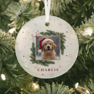 Ornement En Verre Christmas Pet Photo – Personalized Keepsake