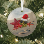 Ornement En Verre Christmas Starfish Beach<br><div class="desc">Il n'a pas besoin de neiger pour être Noël, il est partout dans le monde donc l'emmener à la plage est l'inspiration de ce design amusant. Sur le dos, c'est un modèle pour vous d'ajouter votre touche personnelle... ajoutez un nom, bébés d'abord Noël, ou laissez-le simplement "Noël 2022" votre choix...</div>