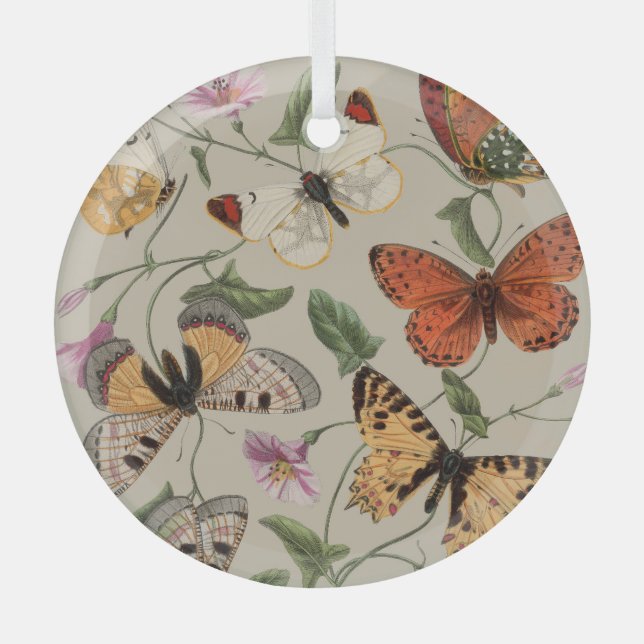Ornement En Verre Collection de la papillon Moth Nature Dessin (Recto)