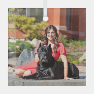 Ornement En Verre Commande spéciale Cane Corso pour CB