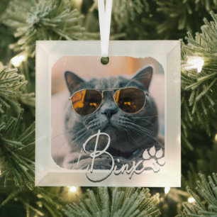 Ornement En Verre Cool moderne de chat Grunge Nom et photo