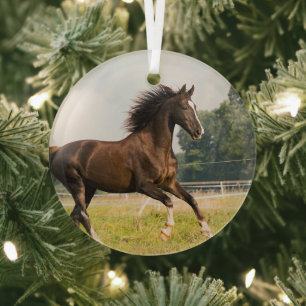 Ornement En Verre Créez votre propre photo de cheval de compagnie pe