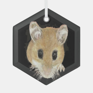 Ornement En Verre Cute Aquarelle Souris Peeking Animal Art