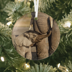 Ornement En Verre Cutest Baby Animals   Baby Elephant & Mama
