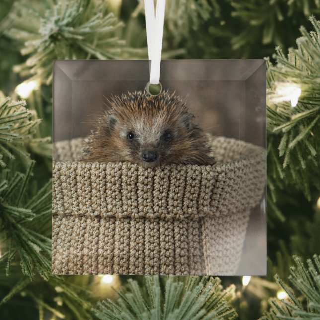 Ornement En Verre Cutest Baby Animals | Hedgehog in a Basket (Insitu)