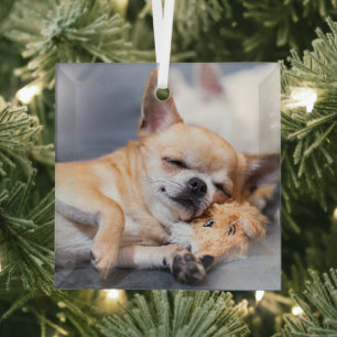 Ornement En Verre Cutest Baby Animals Red-haired Chihuahua Dog