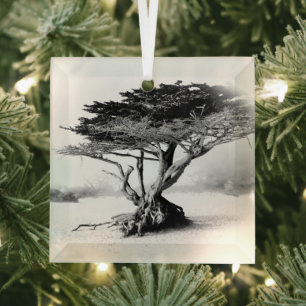 ORNEMENT EN Verre D'ARBRE DE PLAGE