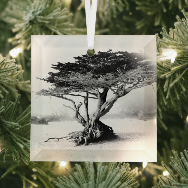 ORNEMENT EN Verre D'ARBRE DE PLAGE (Insitu)