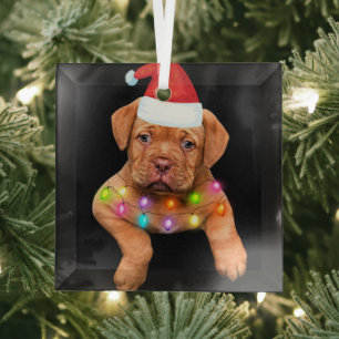 Ornement En Verre dogue de bordeaux décor de noël pour amoureux de l