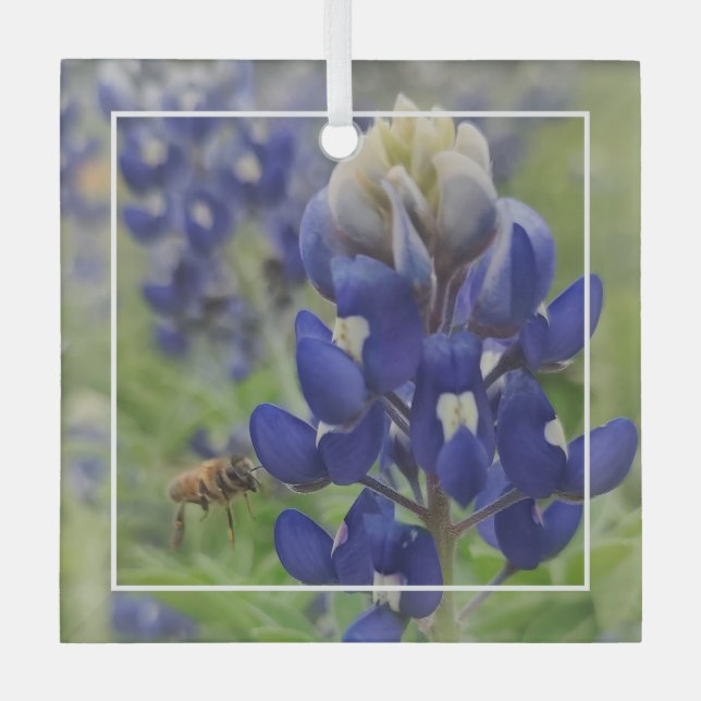 Ornement en verre du Texas Bluebonnet (Recto)