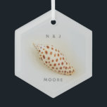 Ornement En Verre Elegant Junonia Beach Shell<br><div class="desc">Elegant Junonia Beach Shell Glass Ornament. This perfect Junonia beach shell is photographed with high resolution macro photographiy and is featured in the Junonia Beach Shell Collection. Personalize with your First Initials and name or as desired Junonia mollusks live à Coastal Ocean depths of over 100 feet, selon Beach Combers...</div>