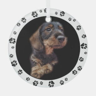 Ornement En Verre Empreintes de pattes de photos de chiot Dachshund