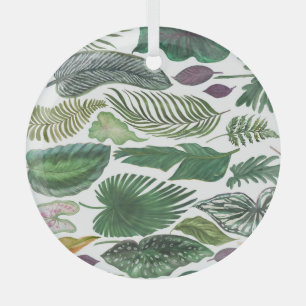 Ornement En Verre Feuilles tropicaux : arrière - plan transparent aq