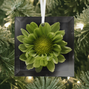 Ornement En Verre Fleurs Chrysanthème vert