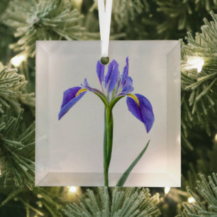 Ornement En Verre Fleurs   Fleur Iris Violet