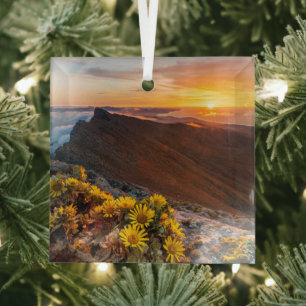 Ornement En Verre Fleurs Îles Canaries, Espagne