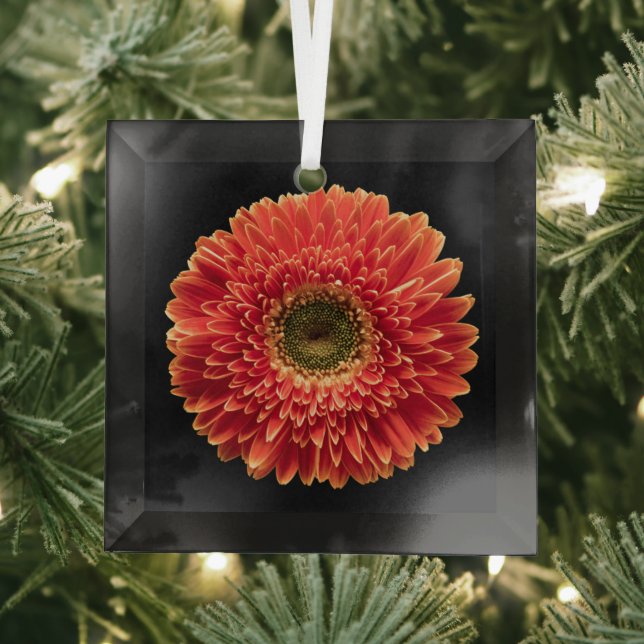 Ornement En Verre Fleurs | Orange Gerbera Daisy (Insitu)