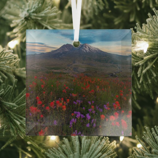 Ornement En Verre Fleurs | Pinceau indien & Penstemon (Insitu)