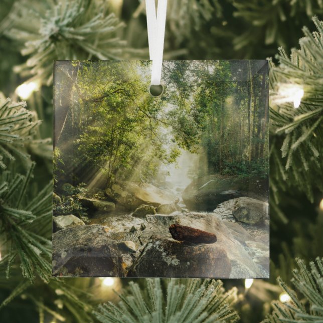 Ornement En Verre Forêt | Forêt tropicale de la Jungle (Insitu)