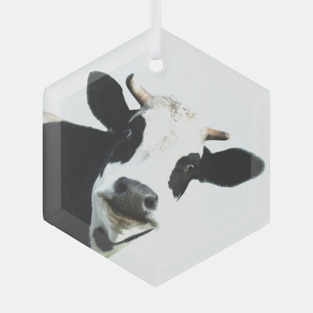 Ornement En Verre Fun Black White Vache ferme Humour animal (Recto)
